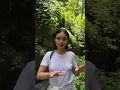 Download Lagu The Tadah Uwuk Waterfall and Canyon View Spring Water Pool, Klungkung-Bali.