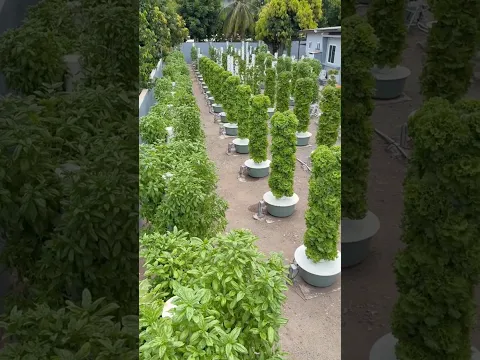 We’ve set up vertical farms in 60 countries around the world, here are a few of them #farming
