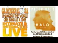 Download Lagu PETER KATZ - Halo - Beyonce Cover - Performed LIVE for the PROJECT US TEAM (MARCH 30TH)