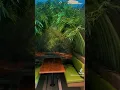 Breaking News An Exclusive Dining Jamaican Experience