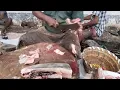 kannadi Parai fish cutting video/FishcuttingRS #fishcuttingrs #kasimadu #fish