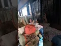 Download Lagu Jogja Jakarta naik Sinar Jaya Eksekutif Legrest, suka!!