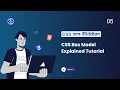 CSS Box Model Explained Margin Border Padding and Content - Part 05 CSS