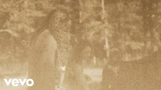 brandon lake country psalm lyric video