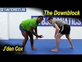 The Down Block by J den Cox