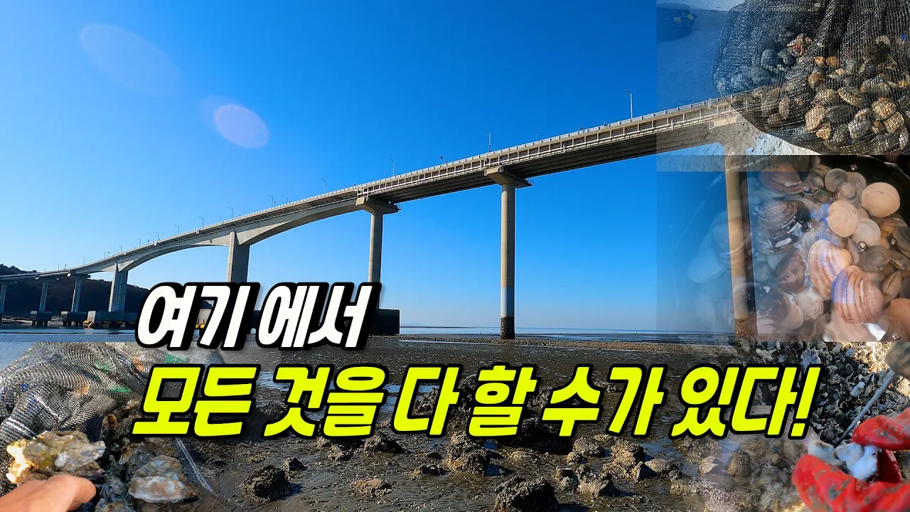 차박캠핑,낚시,해루질 모든것을 이곳 한자리에서 다 할수 있는곳 サムネイル