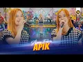 Download Lagu AJENG FEBRIA - APIK ( Official Live Video Royal Music )