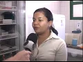 Download Lagu Secretaria de Saúde intensifica ações de vacinação contra a febre amarela