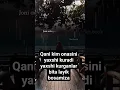 Download Lagu Kim omasini yaxshi kuradi kuramiz  bita laykbosezlar