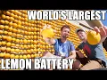 Download Lagu World's Largest Lemon Battery