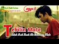 Download Lagu Tebilin Mate | Cover Andra | Lagu paling menguras air mata 😭