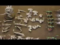 Tyranids battle swarm for sale SOLD