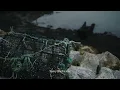 Kingfishr - The Rose (Official Visualiser)