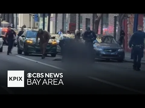 Pit bull attacks woman in San Francisco, leaving her with life-threatening injuries