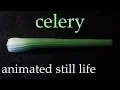 Celery - Animated Still Life