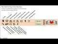 The Platforming of DevSecOps