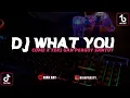 Download Lagu DJ WHAT YOU CAME X TEKI GAN PARGOY SANTUY || DJ CAMPURAN FYP TIKTOK 2022 SOUND KANE JEDAG JEDUG