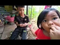 Download Lagu CUCU KUMANG JAWAI AMBIL BUAH KASAI TANPA KEBENARAN // CHEK BUBU PAYUNG SELEPAS 4 JAM // 