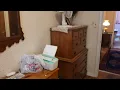 Springfield Pennsylvania Estate Sale