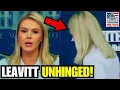 Download Lagu Karoline Leavitt ABRUPTLY ENDS Press Briefing DISASTER!