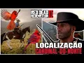 Northern Cardinal Location - Red Dead Redemption 2