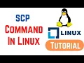 scp command - SCP to Securely Transfer in Linux