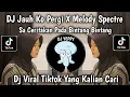 Lagu DJ JAUH KO PERGI X MELODY SPECTRE || SA CERITAKAN PADA BINTANG BINTANG VIRAL TIKTOK