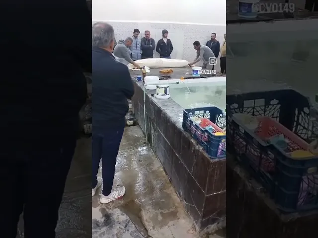 ⁣باجر يسألونك وتتحاكم وين كضيت العمر يبن ادم 💔💔