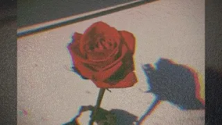 حاله واتس ساموزين الورد الاحمر 