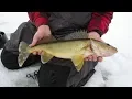 Walleye Bluegill Mayhem - In-Depth Outdoors Season 13 Episode 4
