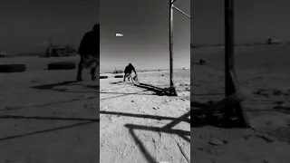 وان حد سالك مرة عني ماتقولش موضوعنا انتهي Explore Tebo0o Viral Calisthenics حالات واتس 