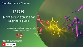 PDB protein data bank Guide for beginners