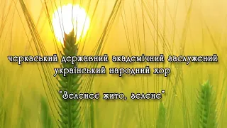 Українська пісня Зеленеє жито зелене Виконує черкаський народний хор 