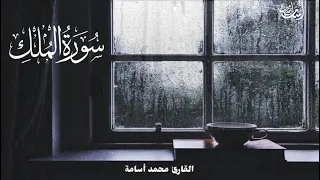 سورة الملك تلاوة تلامس الروح بصوت القارئ الشيخ محمد أسامة 