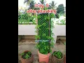 Download Lagu Flower Tower decoration idea | Home \u0026 Garden decoration ideas #shorts #trending #viral #diy #youtube