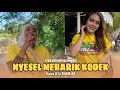 NYESEL MERARIK KODEK AZYA MUSIK COMMUNITY BERSAMA MAMAK ANISA LIVE GANTI