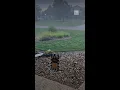 A World Of Weather In A Minute
