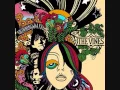 Download Lagu The Vines - Amnesia