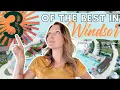 Best of Windsor CO Top 3 BEST Neighborhoods
