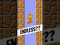 The ENDLESS PIT in Super Mario Bros NES