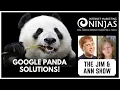 Google Panda Recovery Tips and Solutions Jim and Ann Show