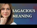 Sagacious meaning of Sagacious