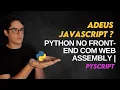 ADEUS JAVA SCRIPT PYTHON NO FRONT-END COM PYSCRIPT