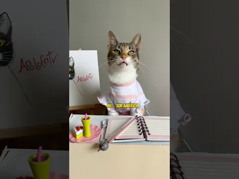 Renata va a perder geografía 😱