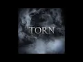 Download Lagu TERESA - Torn | Vocal Cover by Austin Vocals