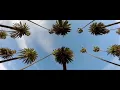 Shivers (Ofenbach Remix) - Ed Sheeran