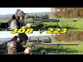 308 win v 223 rem at 1155yards