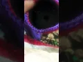 Download Lagu https://youtu.be/YJyA9zTtv-o?si=BKdmp0p_L82YIpnI#crotchet#diy#crotchet#handmade#knit#crotcheting