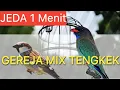 Lagu MASTERAN GEREJA Tarung Kombinasi TENGKEK BUTO | isian Cendet Panglima v Cendet Werkudoro