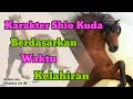 Download Lagu Karakter Shio Kuda Berdasarkan Waktu Kelahiran